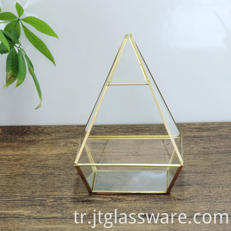 Geometric Glass Terrarium